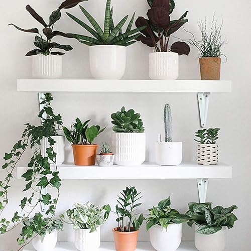 Miniatura 6 de Soportes de estante de 12 pulgadas, paquete de 20 soportes flotantes ajustables de metal blanco resistente en L, soporte de estante decorativo de 12