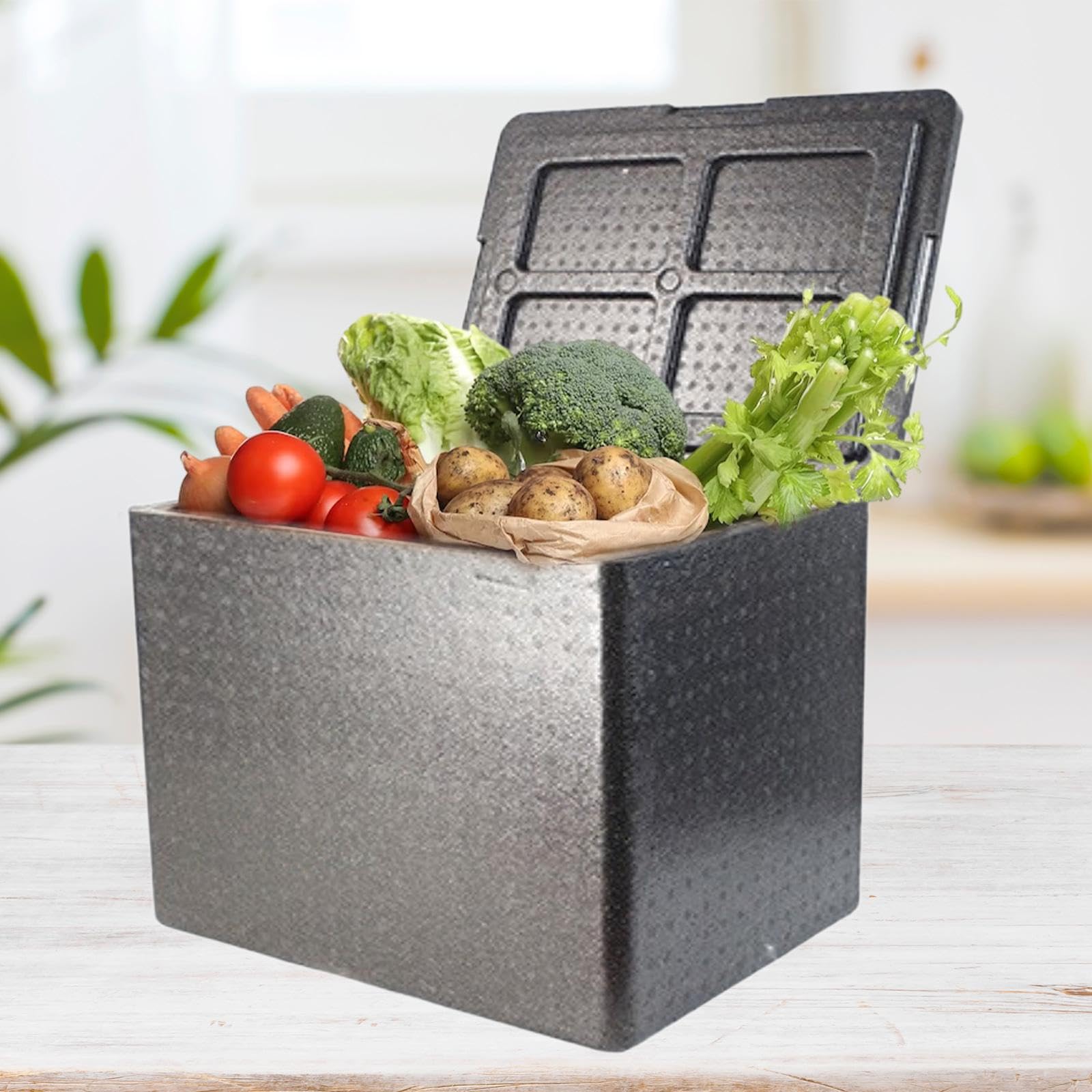 Sharplace Caja de Transporte de Alimentos con Aislamiento, Caja de Espuma con Aislamiento Y Tapa, Baúl de Espuma Reutilizable de Carga, Contenedor Térm, 30 L