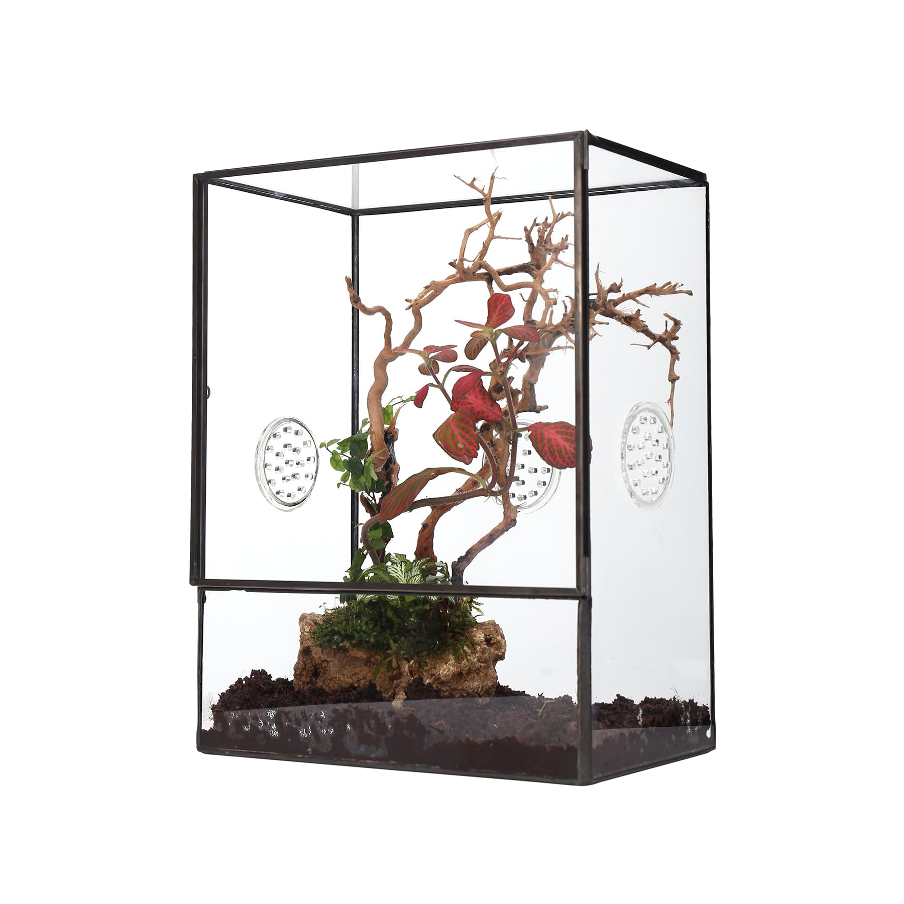 NCYP Terrario in vetro chiuso con porta frontale e 3 prese d'aria per insetti, lumache, ragni, tarantole, 20,3 x 11,4 x 25,4 cm, trasparente, rettangolare, per piante, micro paesaggio