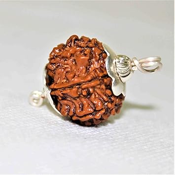 9 Mukhi Rudraksha Original Certified Nepali Big size Blessed Maa Nav Durga Nav Mukhi Rudraksh Round shape Natural Beads Brown Nine Face Rudraksha By The Gallery Of Gemstones