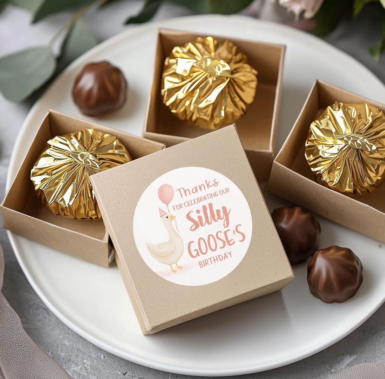 120 X One Silly Goose Birthday Party Stickers, 1.6 Inch Round Labels, Birthday Party Goodie Bag Seals, Silly Goose Favor Decoration Tags, Boho Kids Party Favors. - Image 7