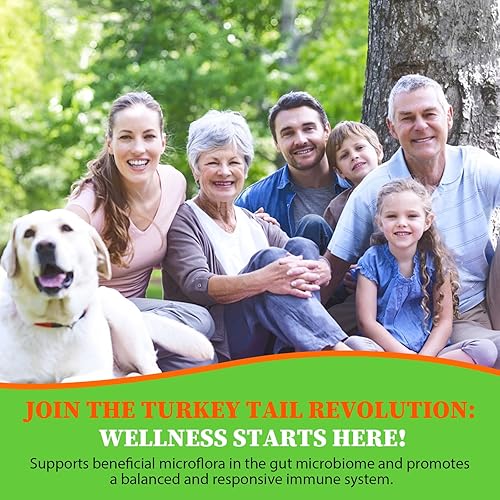 Miniatura 6 de Cápsulas liposomales de hongo cola de pavo, extracto orgánico de hongo de cola de pavo de alta absorción, 2000 mg Cuerpo fructífero 30:1