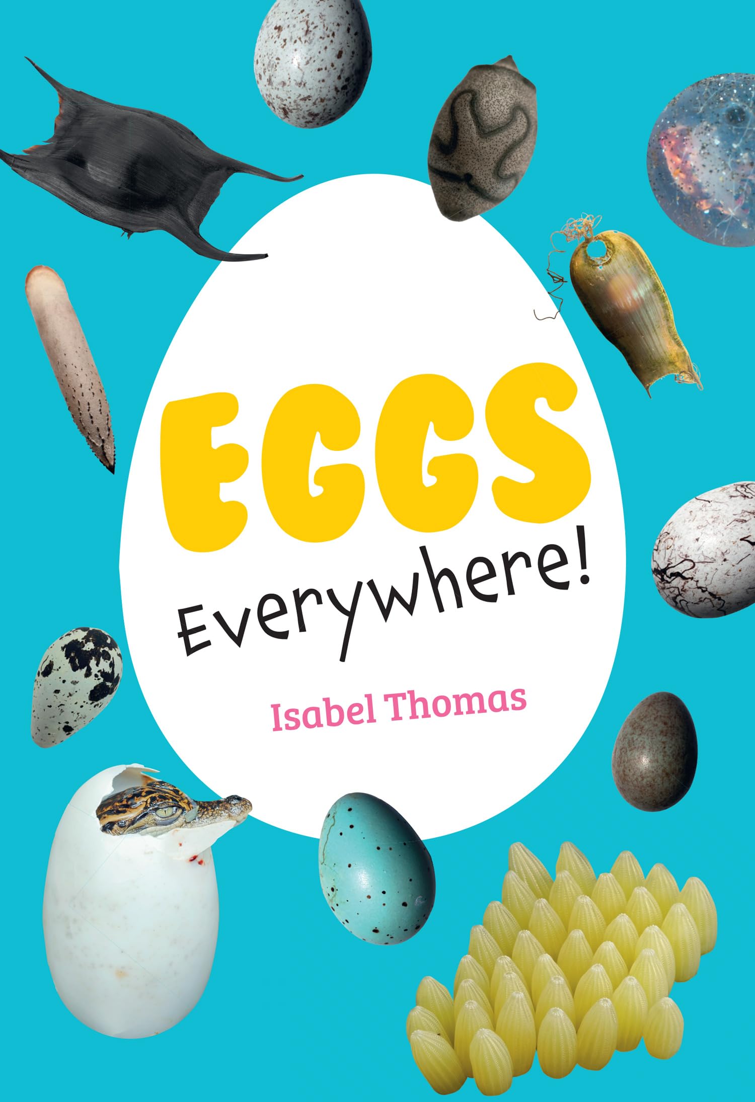 Eggs Everywhere!: Fluency 6 (Big Cat for Little Wandle Fluency)