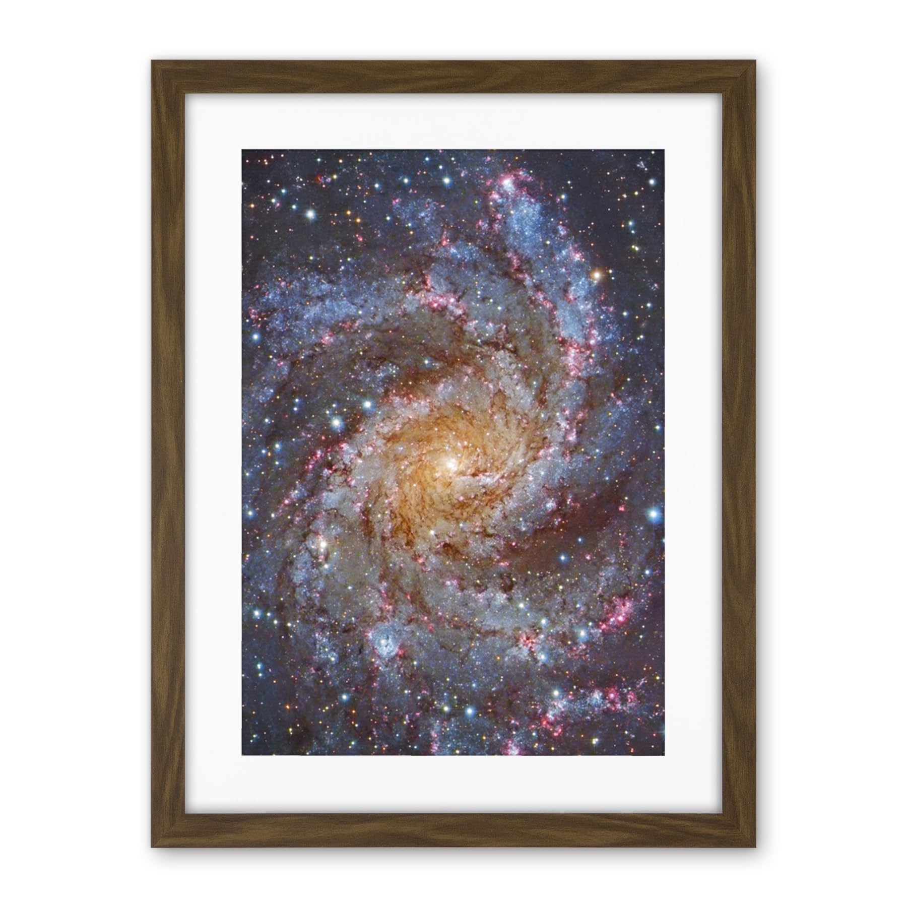 Artery8 Hubble Space Telescope Image NGC 6946 Supernova Fireworks Galaxy Subaru And Red Eclipse Star Cluster Hodge's Complex Artwork Framed Wall Art Print 18X24 Inch