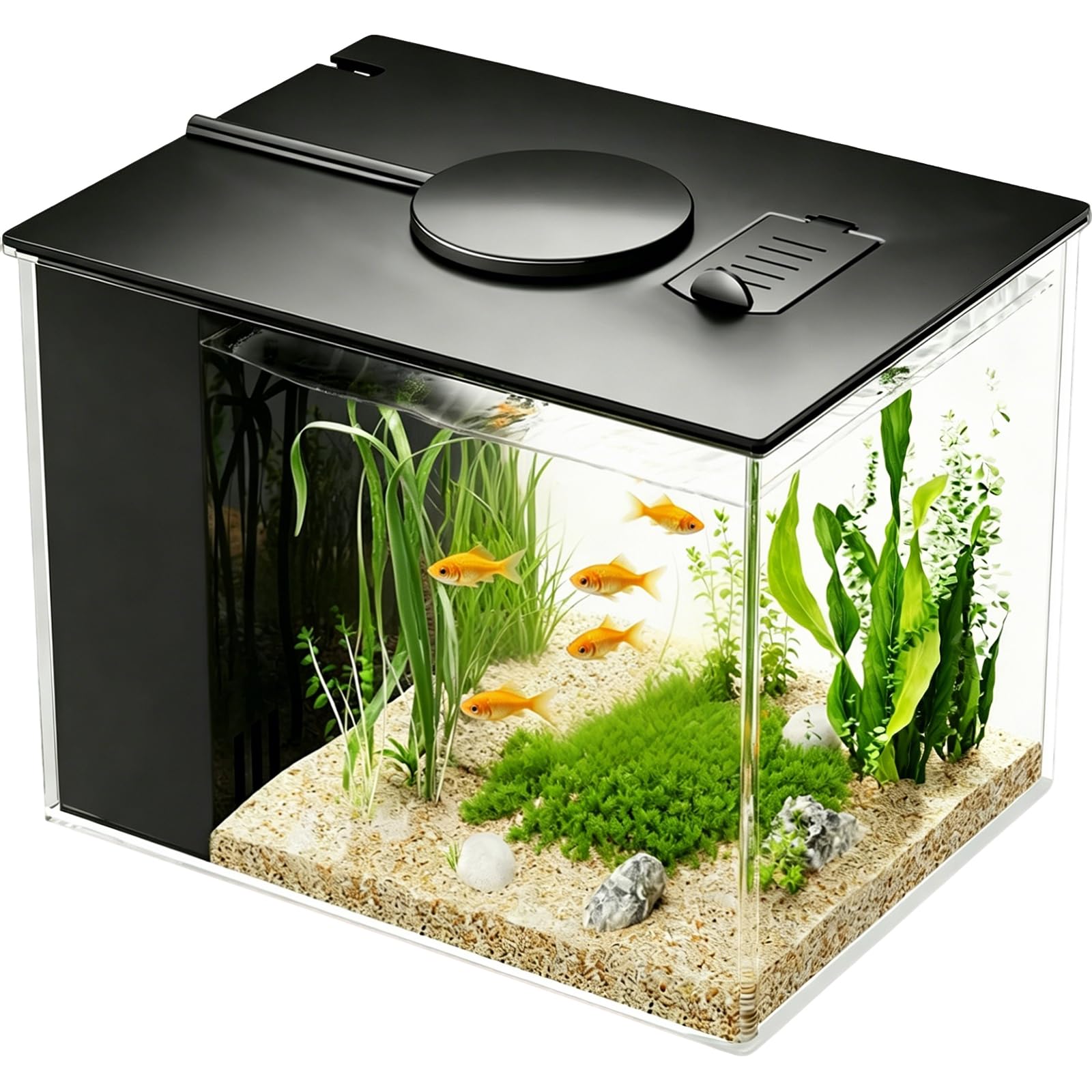 Mini acuario acrílico de 3,7 l con bomba de filtro, iluminación LED, pequeño acuario Betta, juego completo para peces pequeños, gambas y plantas (negro)