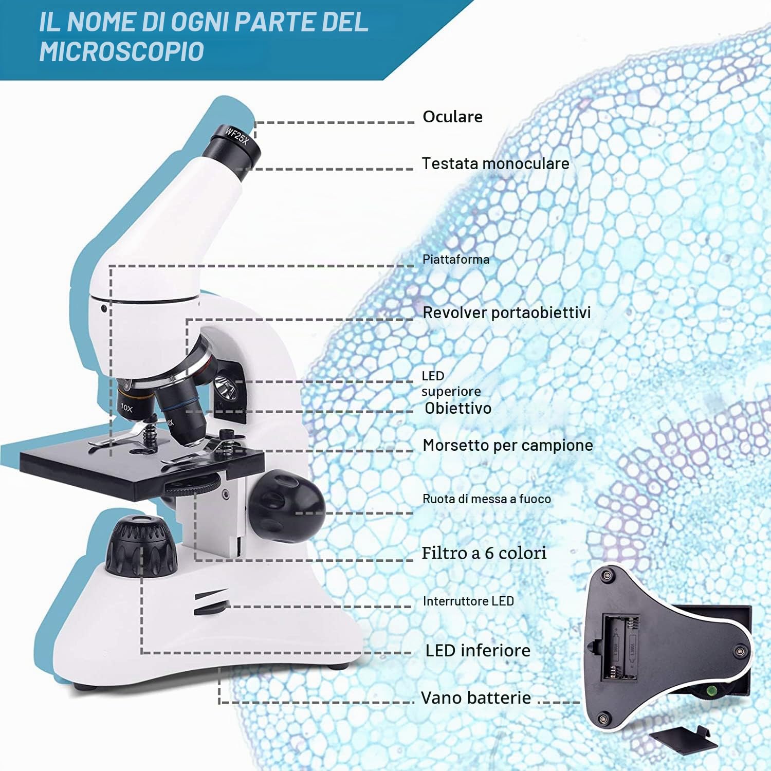 USCAMEL 40X-2000X Microscopio per Bambini Studenti Adulti, con Vetrini per Set, Microscopio Professionale per Scuola Laboratorio Home Biologico Enducation