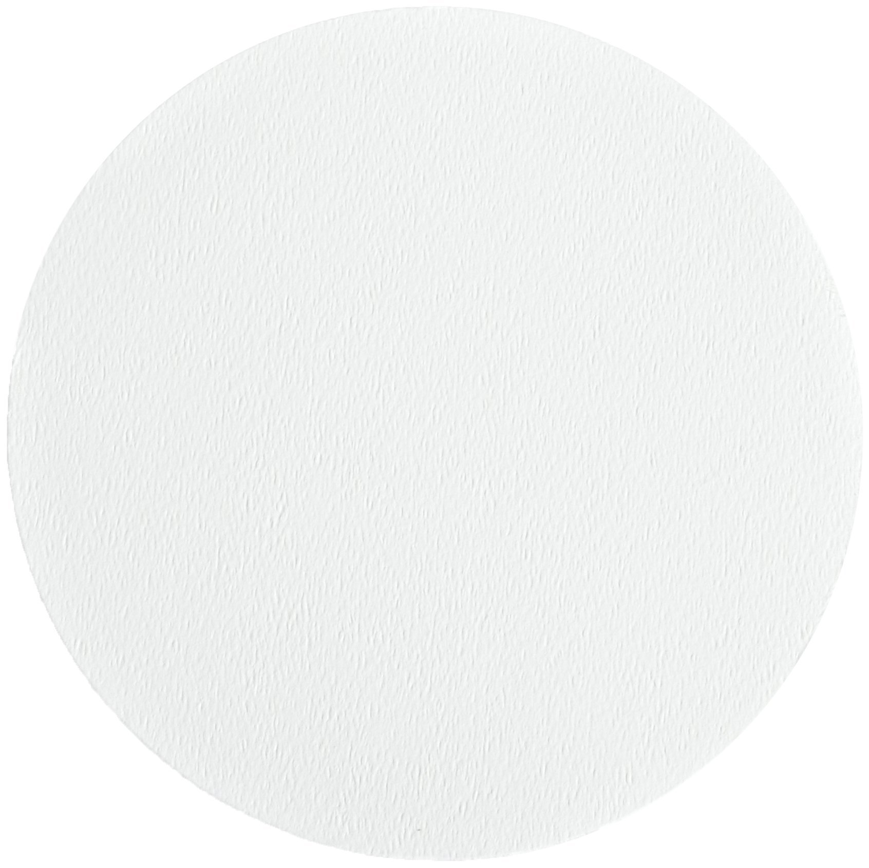Whatman 10370006 Glass Microfiber Filter with Inorganic Binder, 40 s/100mL Flow Rate, Grade GF 6, 11.0cm Diameter (Pack of 100)