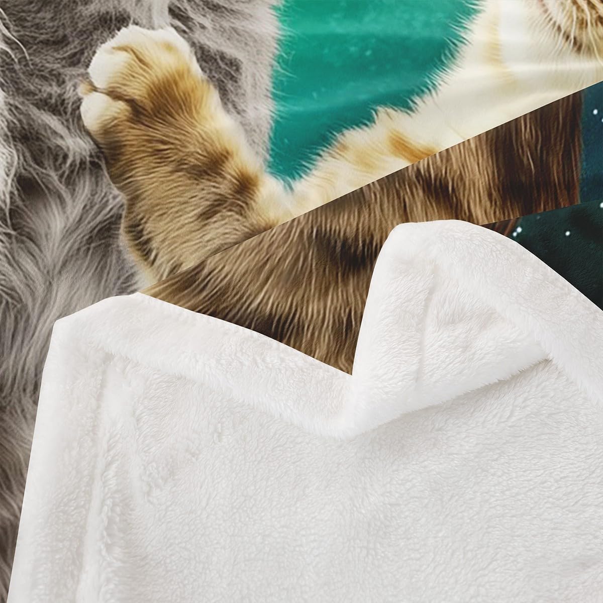 jejeloiu Kids Cats Fleece Throw Blanket Twin 60"x80" Cat Lover Gift Sherpa Blanket for Boys Girls Teens Kitten Moon Decor Fuzzy Plush Blanket Cat Stuffed Flannel Blanket Bedroom