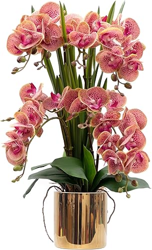 Vista 50 de CXGS Plantas artificiales de orquídeas artificiales de tacto real, orquídeas falsas en jarrón de cerámica de 20.9 pulgadas, orquídea falaenopsis