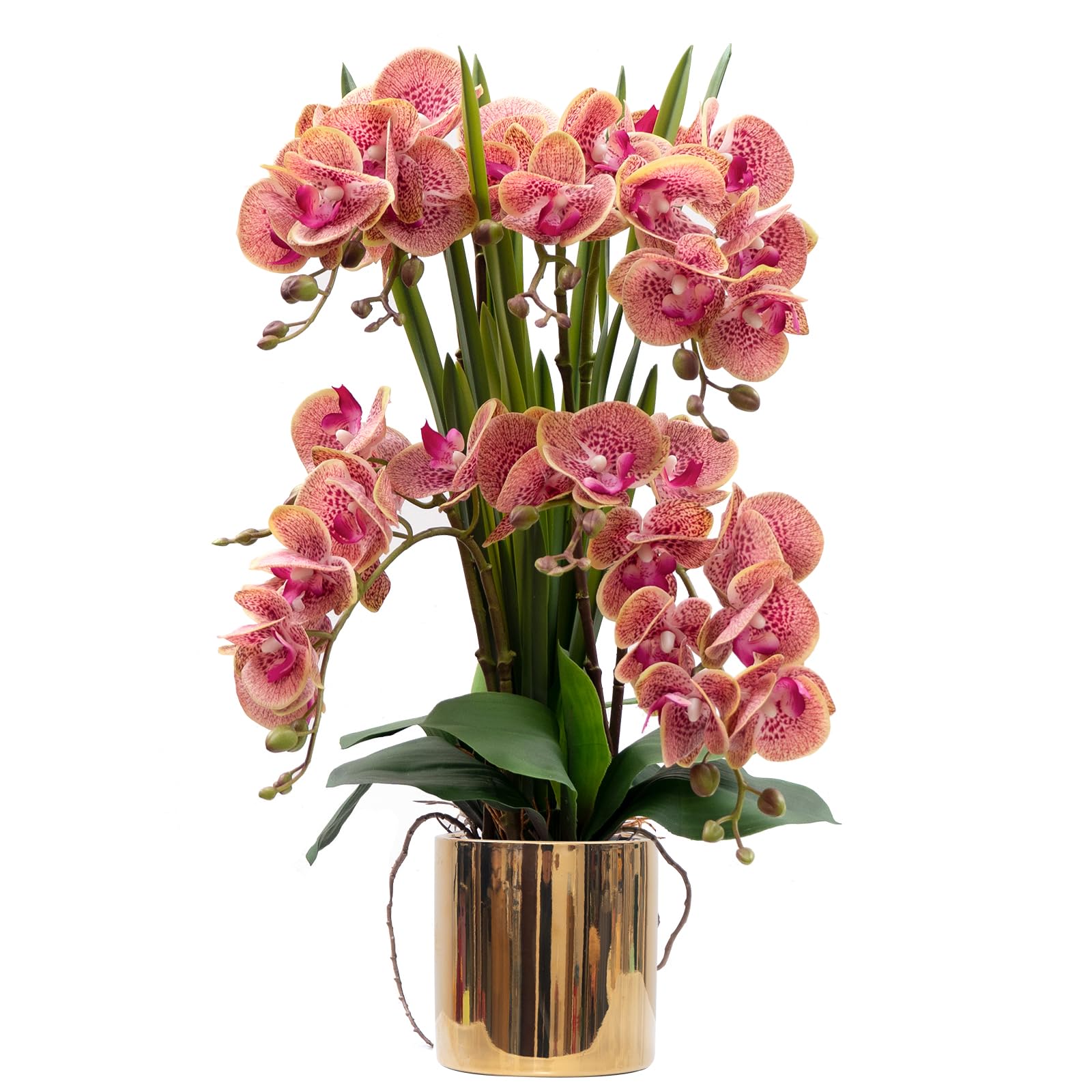 CXGS Artificial Orchid Flower Plants Real Touch Faux Orchids in Ceramic Vase 20.9'' Purple Dapple Phalaenopsis Orchid Fake Flower Arrangement Home Indoor Decor