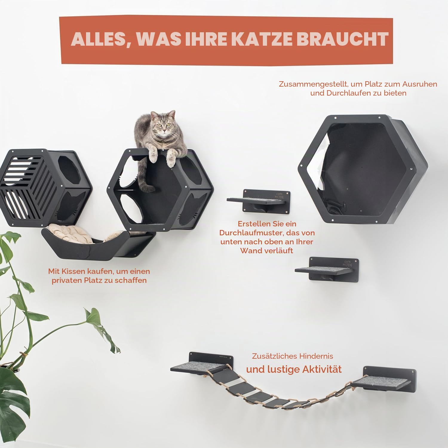 Rustikales Katzenregal aus Holz – Wandmontierte Katzenmöbel – Indoor-Katzen-Dekor-Geschenk