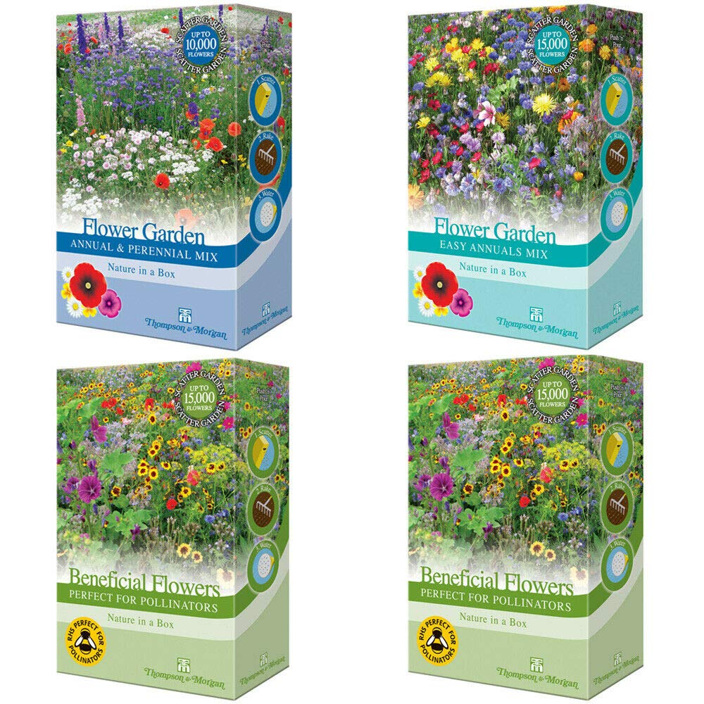 Buy Seed Flower Garden Scatter Packs 4 Packs Annuals Perennials for