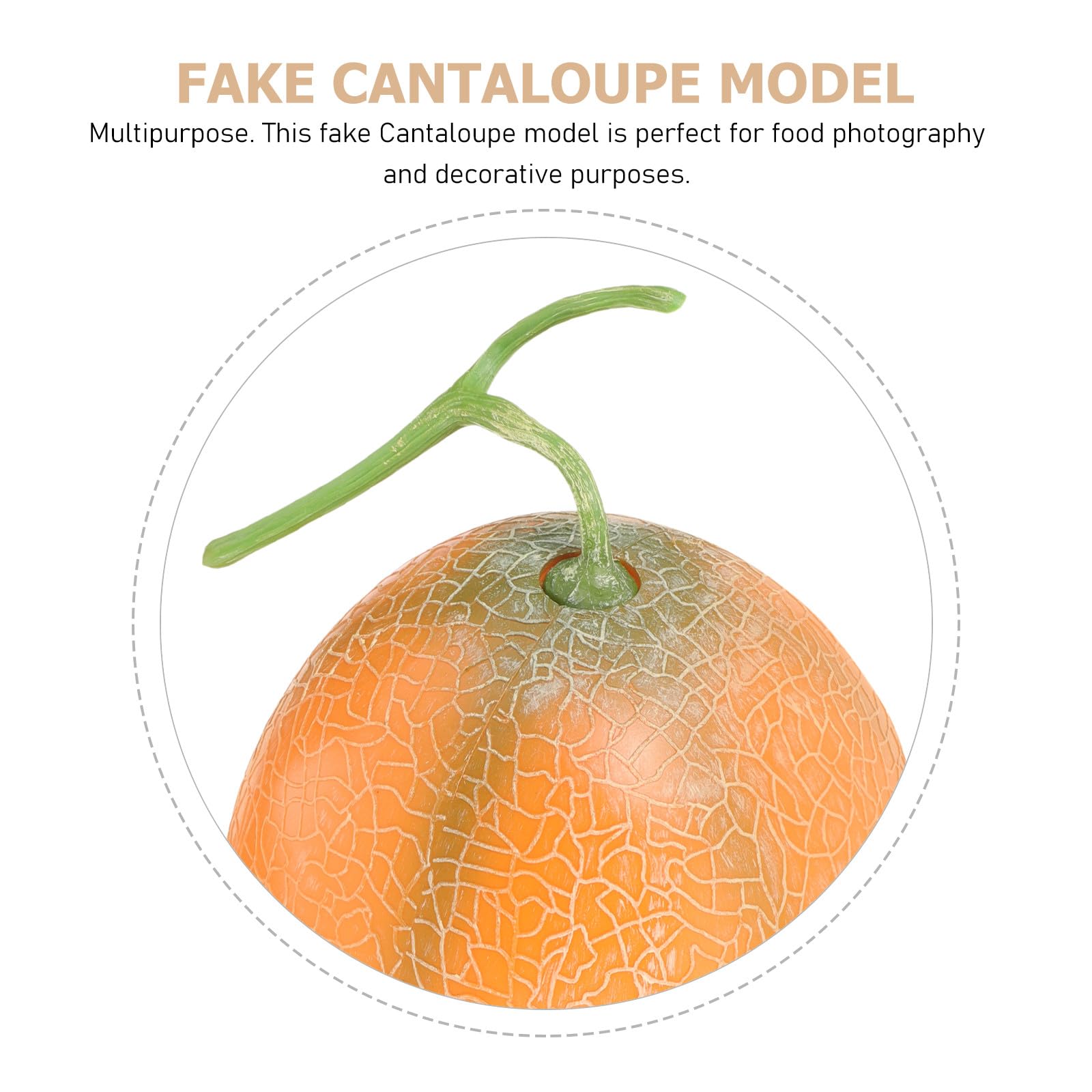 TOYANDONA Melone Durevole Cantalupo Artificiale Schiuma Realistico e in Decorazione di Multifunzionale per Fotografia Alimentare e Diverse Occasioni