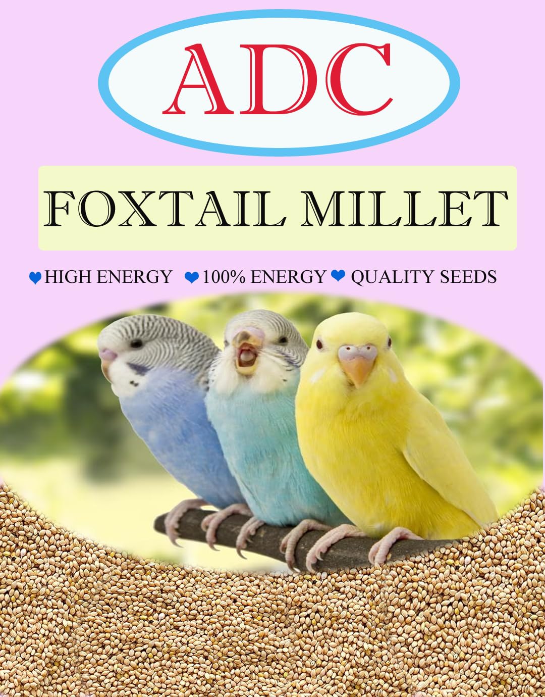 Foxtail Millet(KANGNI) for Birds - Birds Food for Sparrows, Cardinals, Finches, Doves and Budgies (1.2Kg) (B0C4Z5SV3W) Amazon Price History, Amazon Price Tracker