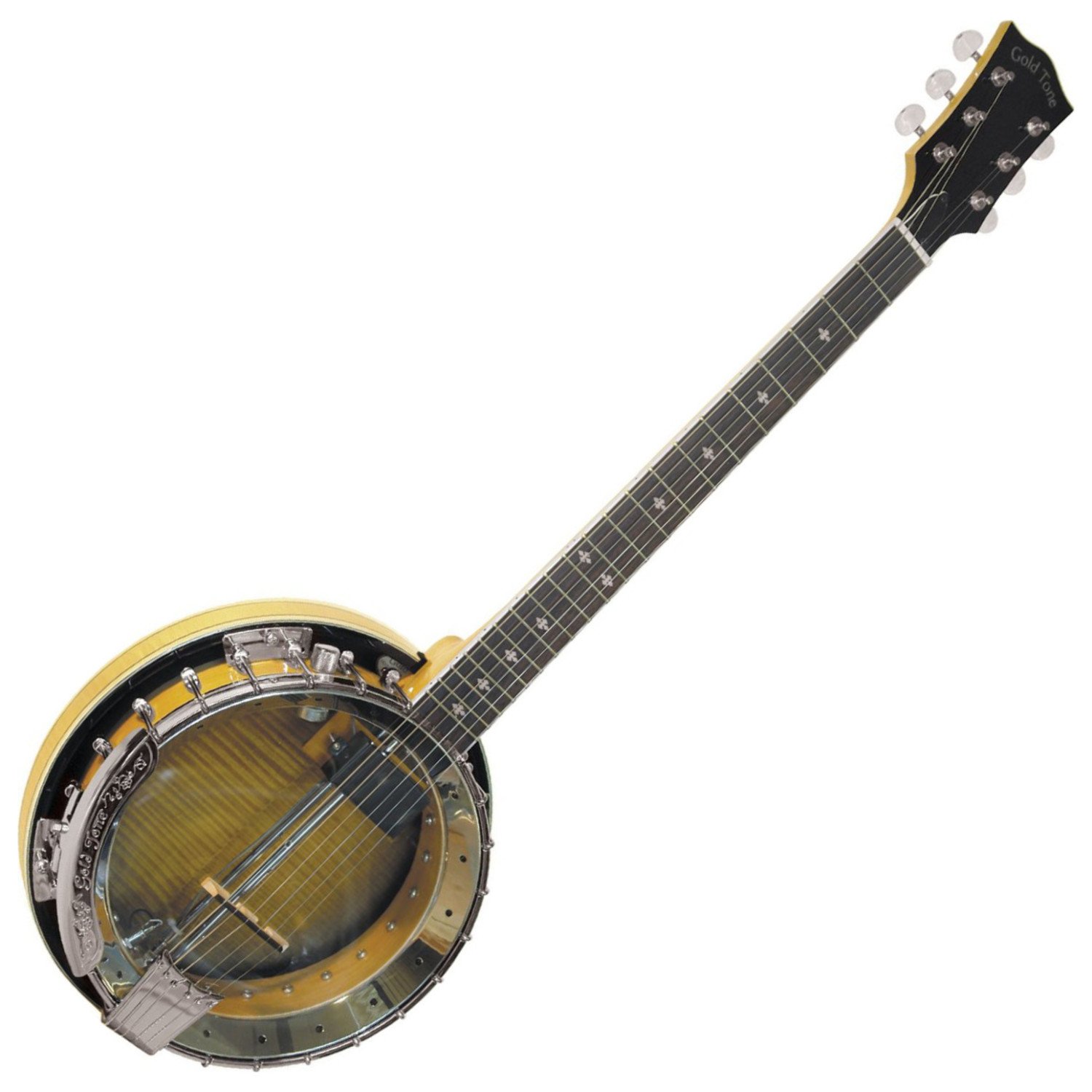 Amazon.com: Gold Tone GT-750 Banjitar Deluxe Banjo Guitar w