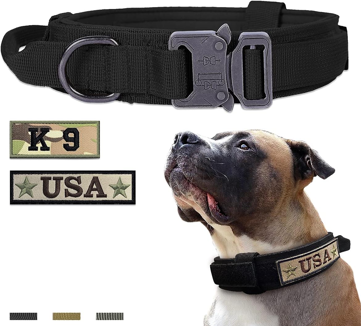 tactical e collar