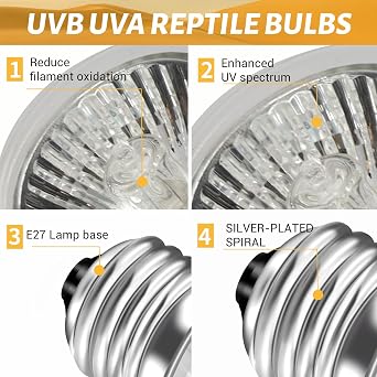 Caldarax E27 Reptile Heating Bulb UVA UVB 25W Dimmable, Turtle Basking Light Bulb for Reptiles and Amphibians, Heat Lamp Bulbs for Tortoise Bearded Dragon Lizard Snake Chameleon Gecko, 2 Pack [Energy Class G]