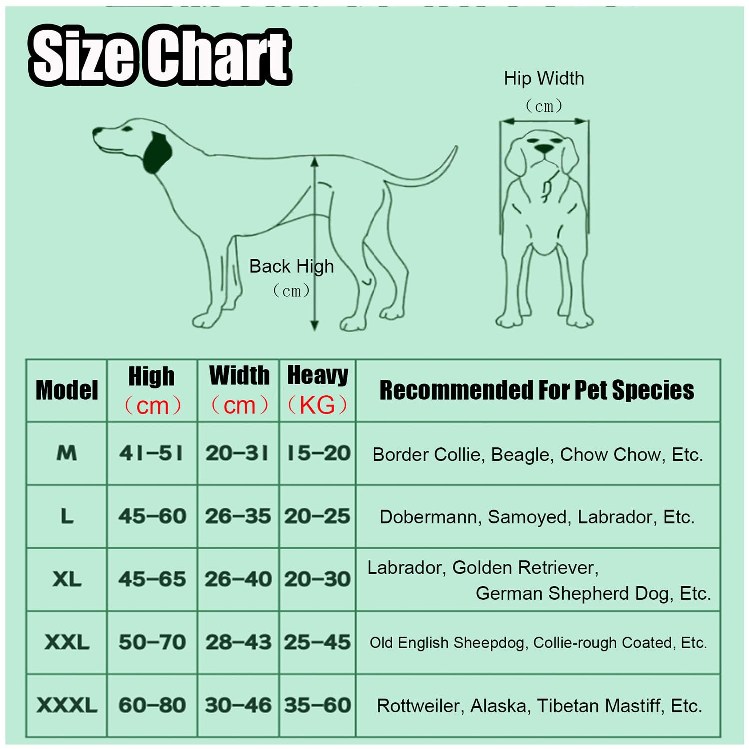 Yinian 2 Ruote Sedia a Rotelle per Cane Carrello per Disabili Scooter per Animali Domestici Carrello per Cani Disabili con Ruote per Riabilitazione di Gambe di Animali Disabili(Size:XL（20-30kg）)