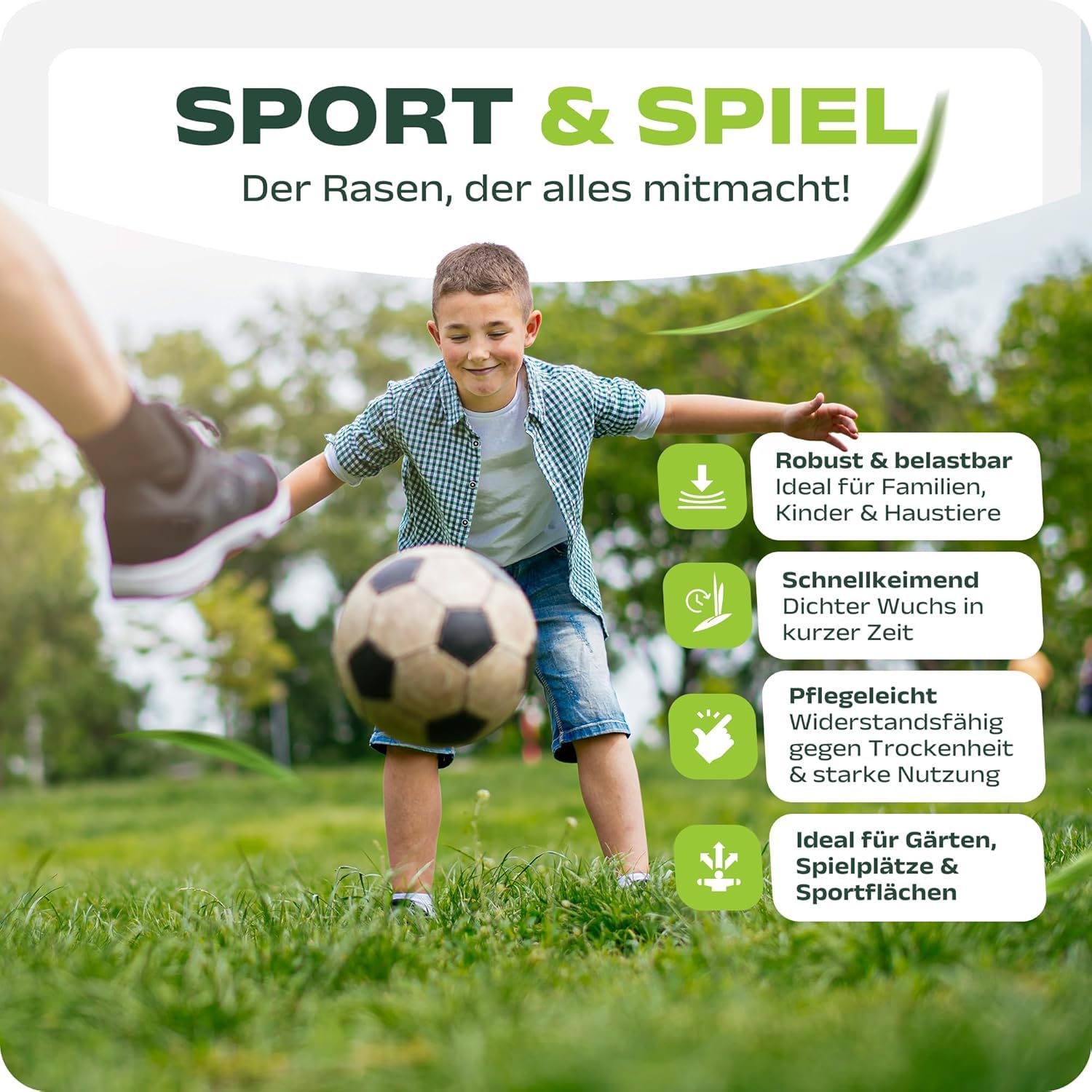 SEHR GUT getestet | Rasensamen schnellkeimend 20kg für 800m² | Sommer Sport und Spiel Rasen | Grassamen trockenresistent für Rasensaat und Nachsaat