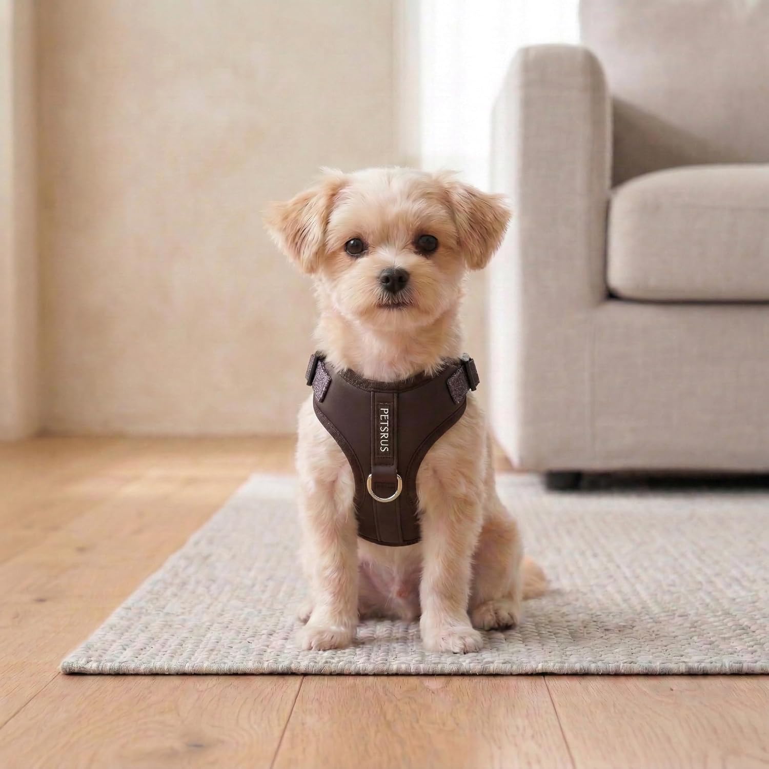Premium No-Pull Dog Harness Soft Neoprene & Breathable Mesh Vest with Front & Back Clip D-Rings Adjustable Lightweight Walking Harness for Puppies, Small & Medium Dogs (Dark Chocolate Brown, XS)