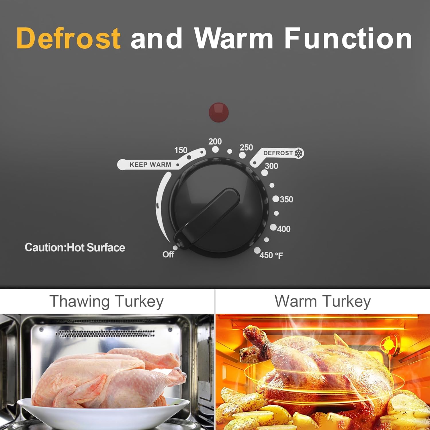 Close-up of the temperature control knob with Defrost and Keep Warm settings