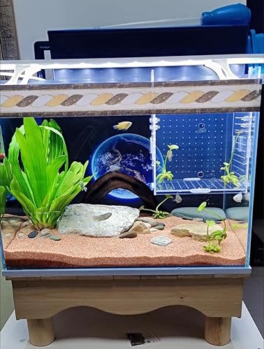 Miniatura 4 de Caja de cría de peces de acrílico, caja de aislamiento de peces de acrílico, separador de peces para acuario, incubadora de incubadora con ventosas