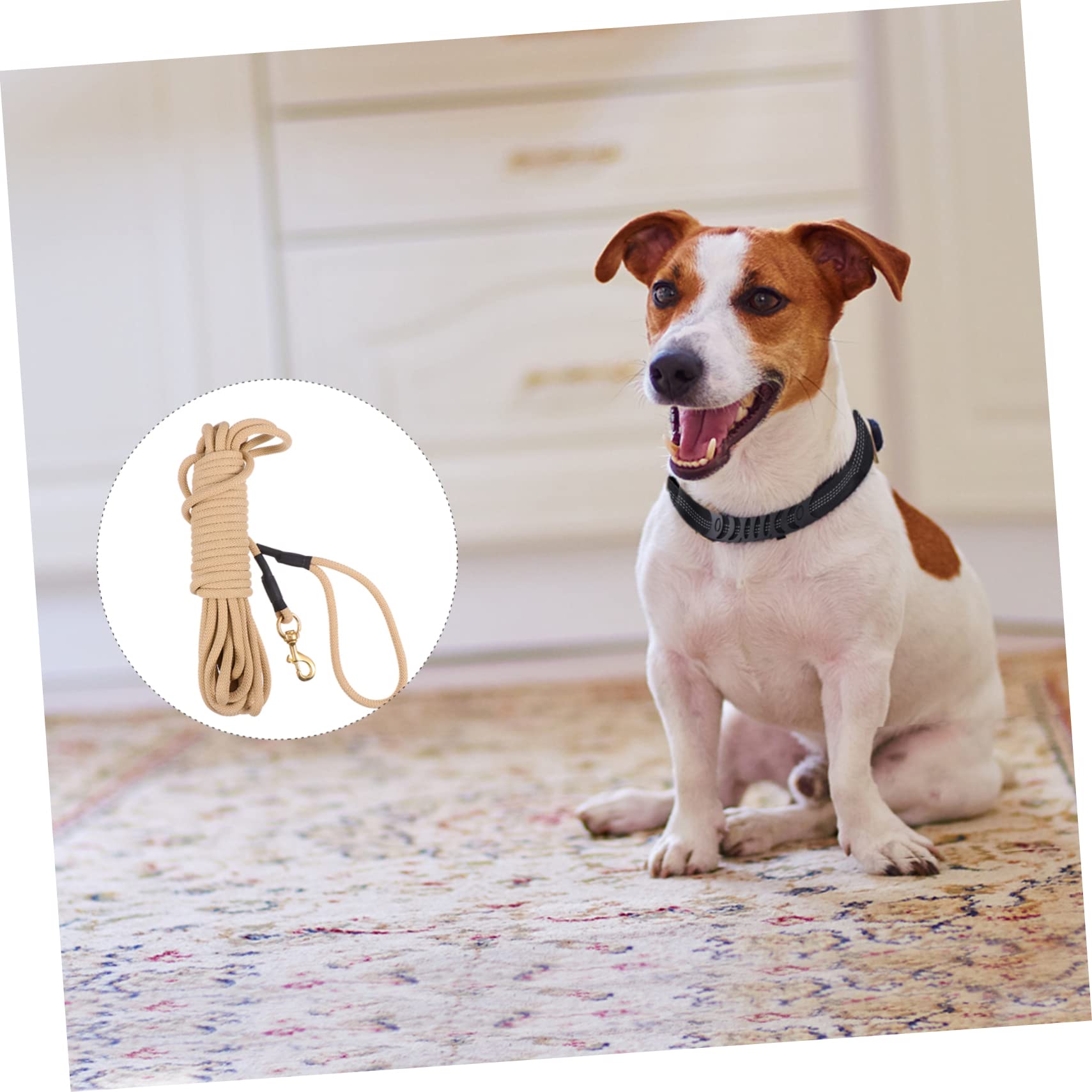 ibasenice Grosse Laisse de Dressage pour Chien 10m en Polypropylène Kaki | Crochet, pour Courir et Marcher, Facile à Nettoyer, Longueur Extra Longue
