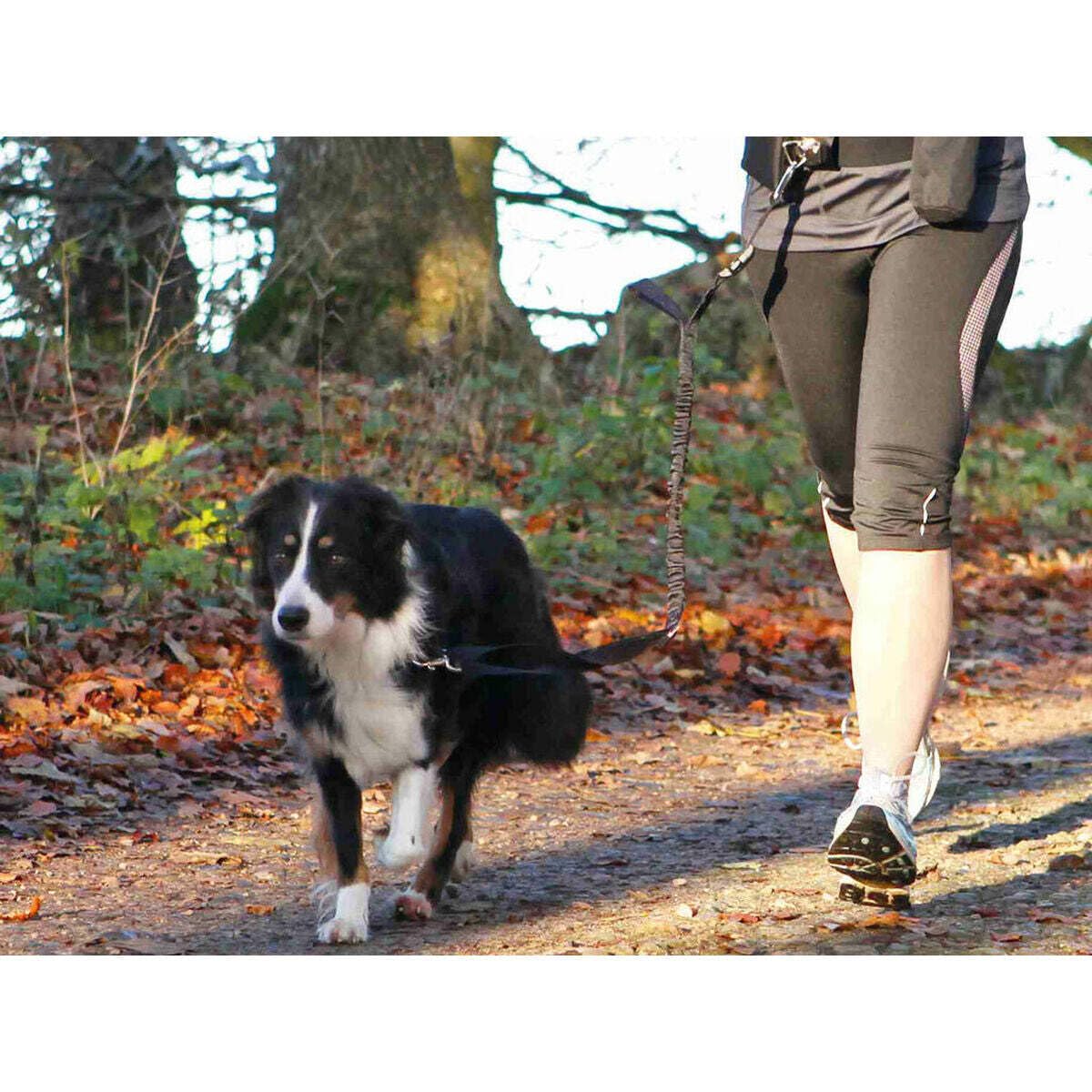 TRIXIE Pas z paskiem, Zestaw głośnomówiący, Do Canicross, 1-1,35 m, Do 40 kg, Czarny, Pies
