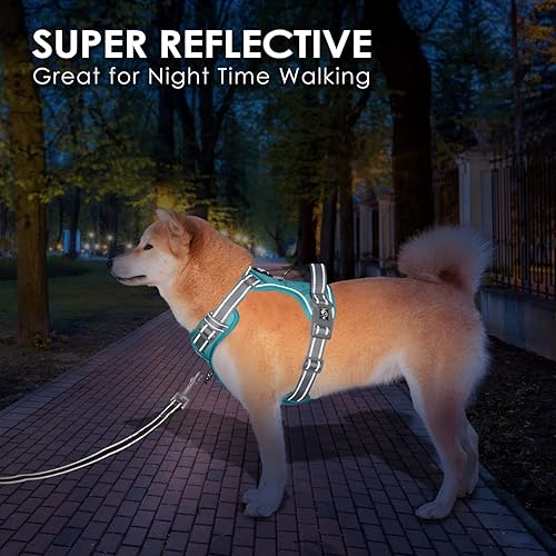 Miniatura 6 de PHOEPET - Arnés para perro sin tirones, reflectante y ajustable, de colores, asa de entrenamiento, clips de metal, perros pequeños, medianos y