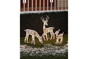Outdoor Christmas Reindeer Set, A Captivating Winter Wonder for Your Yard