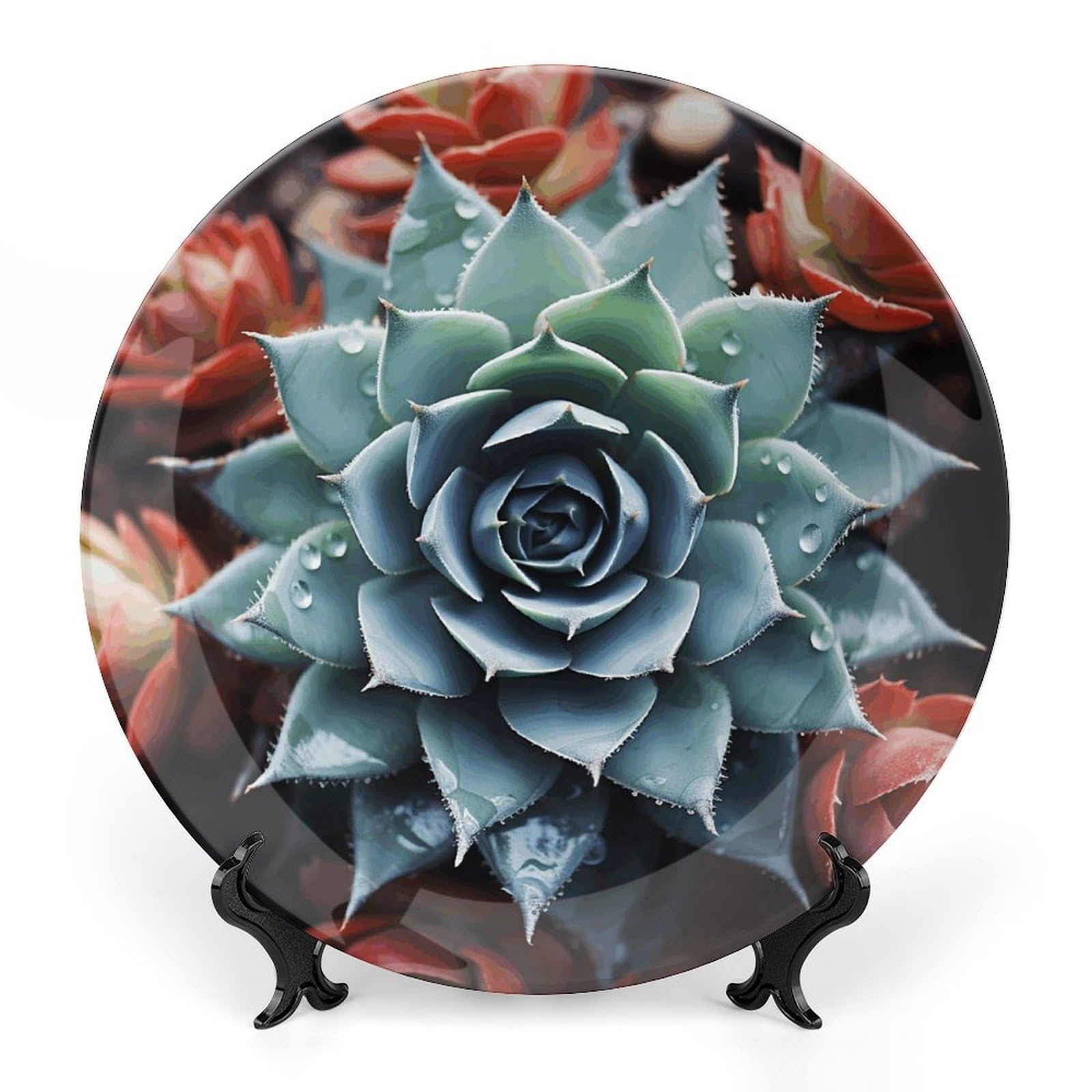 Assiette décorative en céramique pour plantes au design épuré