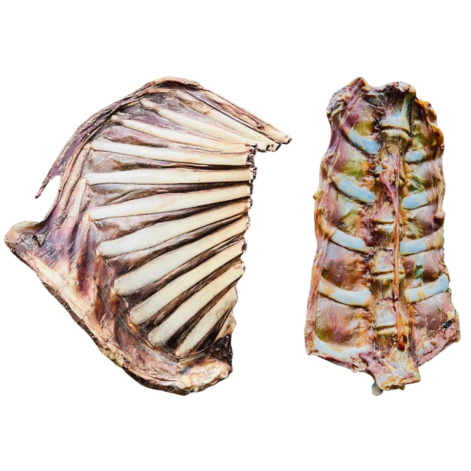 FloofYou Goat Ribs Half Rack Dehydrated Bone Natural Healthy Dog Treat & Chew with Goat Loin Bone Dehydrated Natural Healthy Dog Treat and Chew Combo (B0D3B4BP6N) Amazon Price History, Amazon Price Tracker