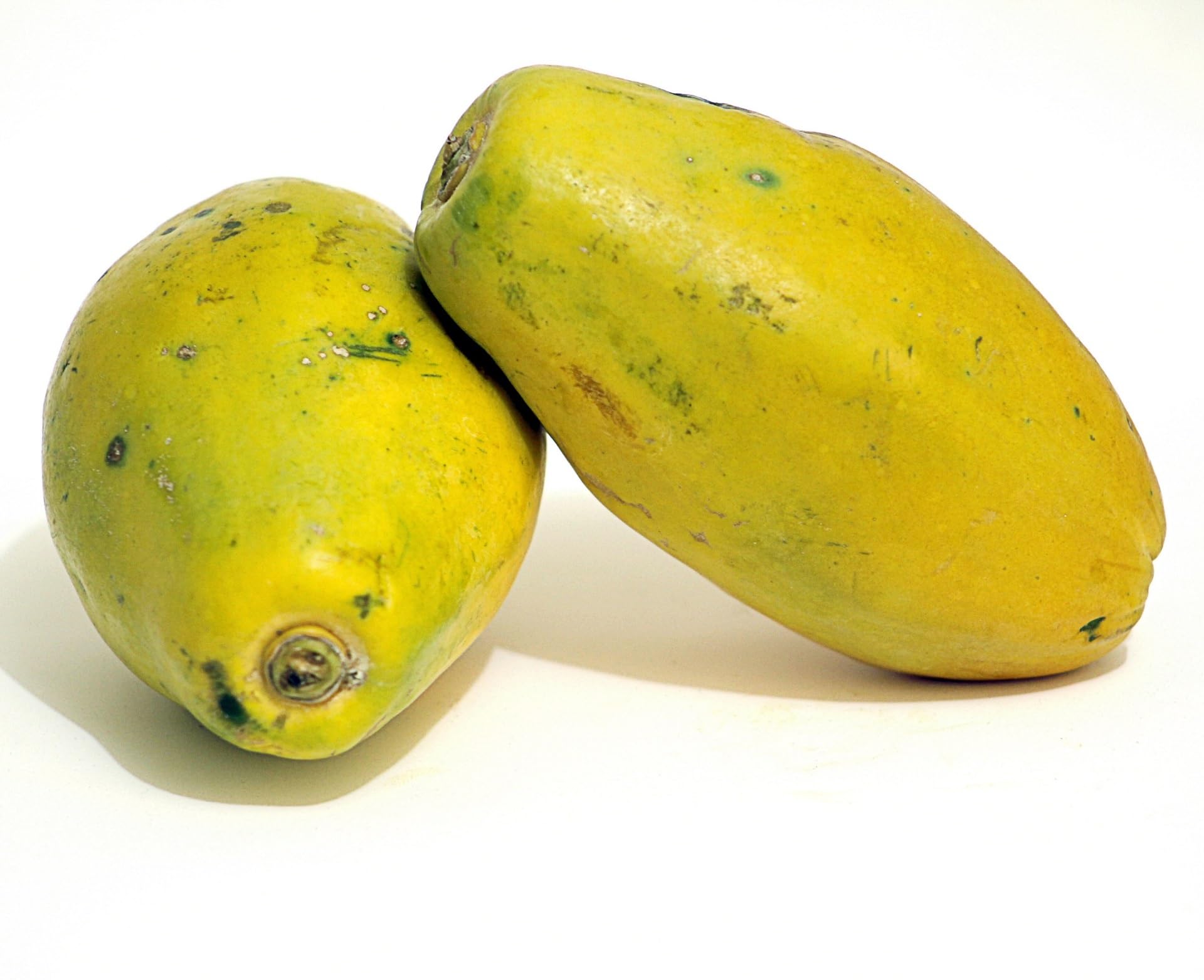 Willvine Florida Red Royale Papaya Seeds-RXI-8Z-image-32
