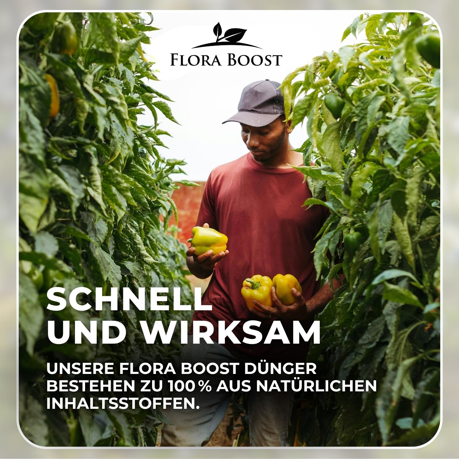 Flora Boost PRO Paprika Dünger 5 kg I NPK 7-4-6 mit Magnesium für Paprika & Chili I Gemüsedünger für kräftiges Wachstum, starke Blütenbildung & hohe Erträge