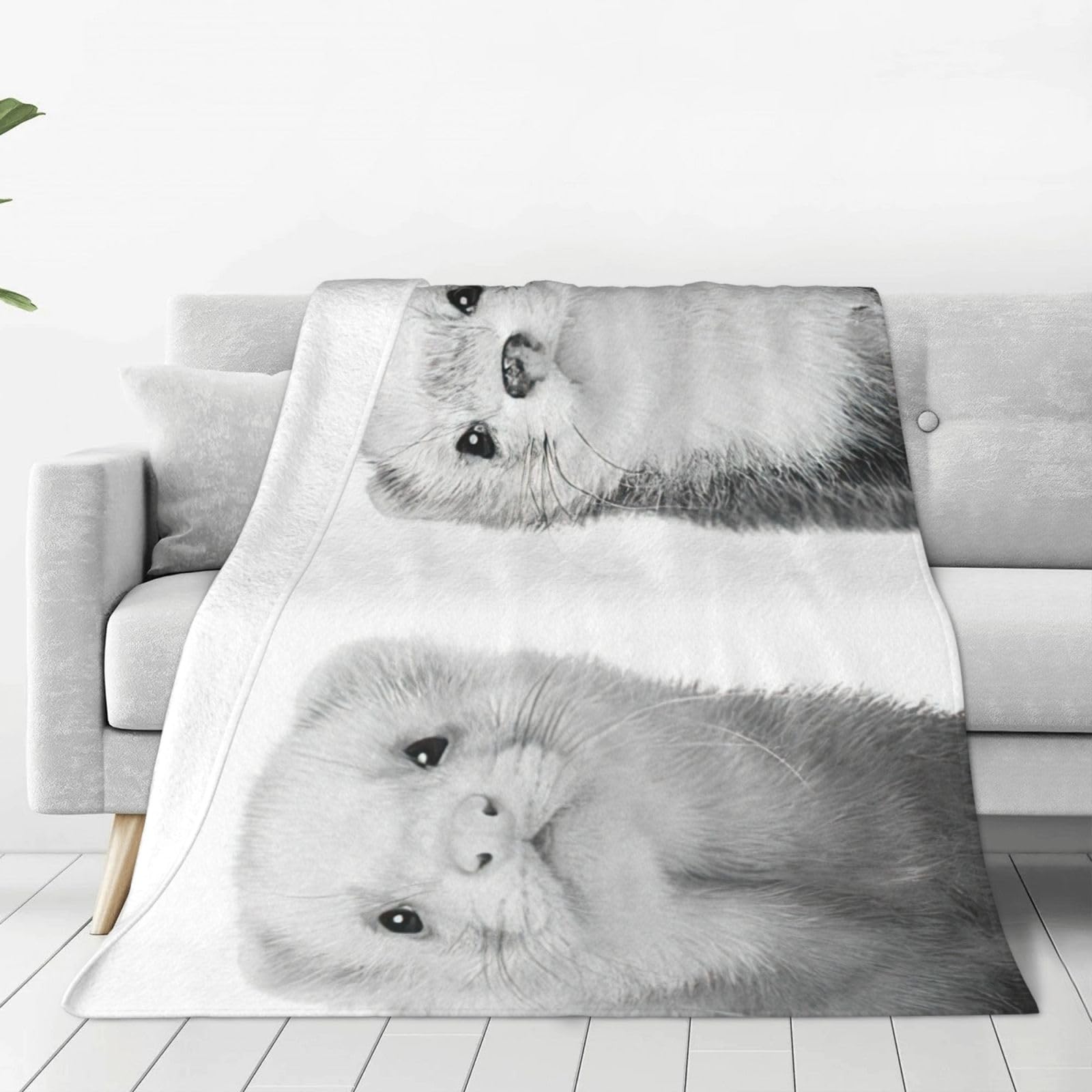 Couverture polaire furet contre le froid sur votre canapé