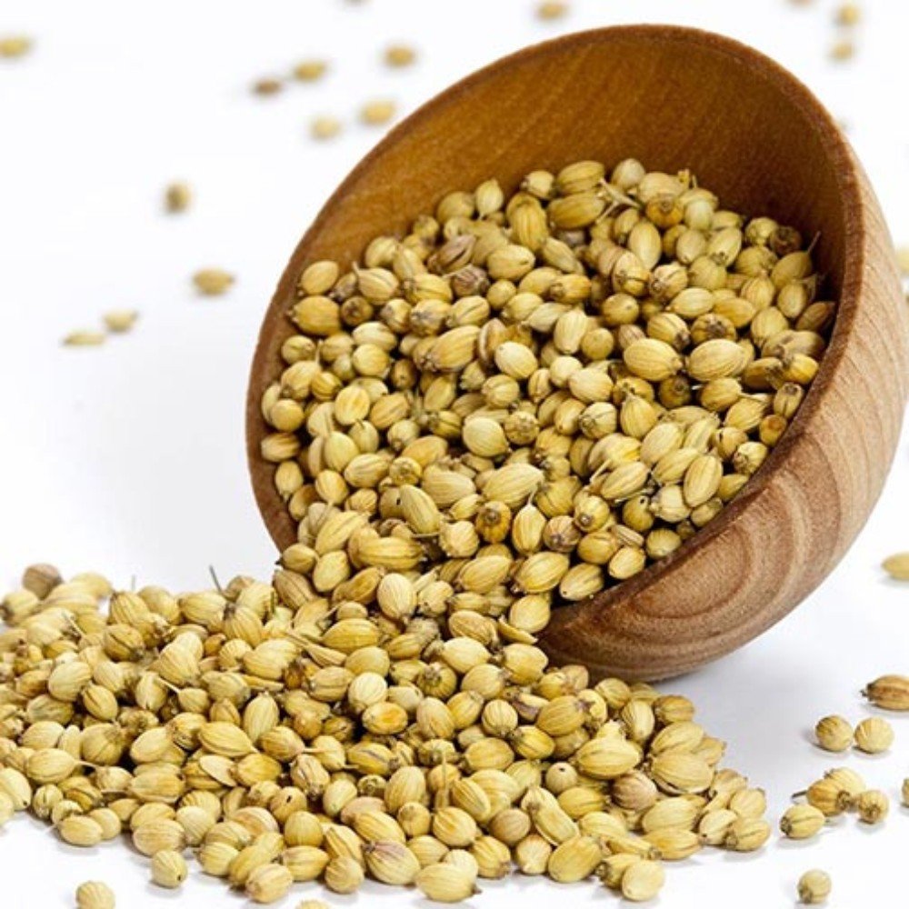 CORIANDER - WHOLE- 55lb