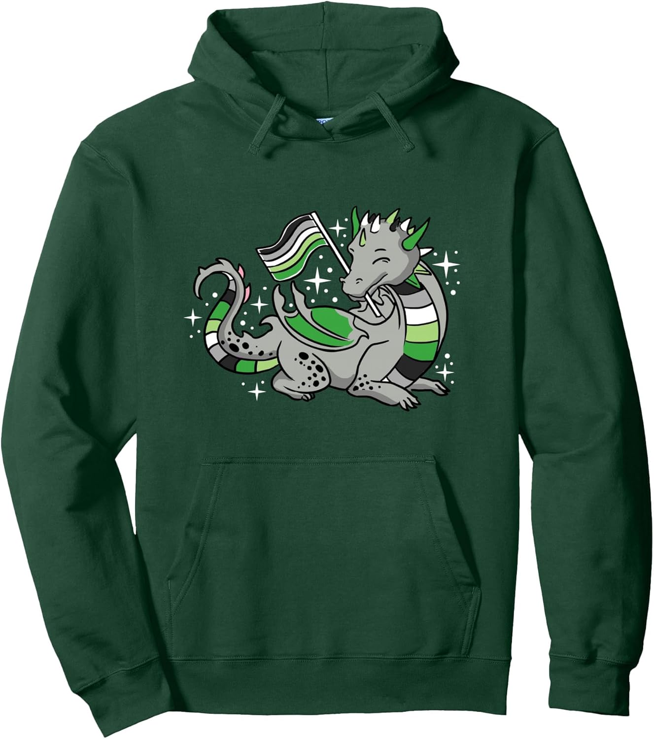 Aromantic Dragon Aromantic Pride Pullover Hoodie