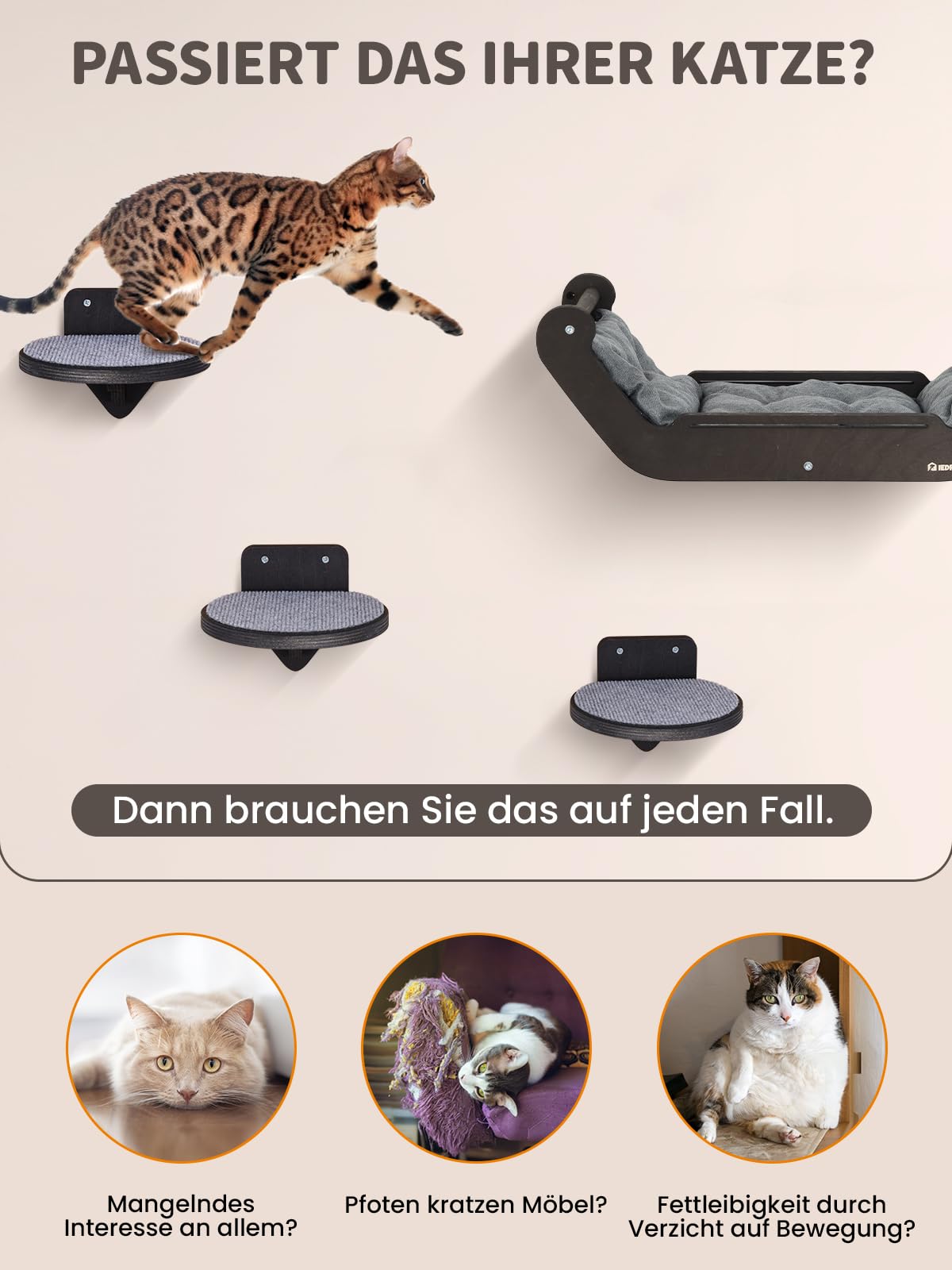 Kletterwand Katzen Set mit Katzenbett und Katzentreppe, Katzenmöbel aus Holz, Katzen Wandelemente Multifunktional zum Schlafen, Spielen und Klettern