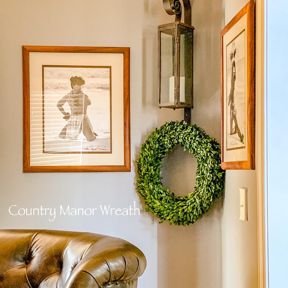 Boxwood Wreath 14" Preserved Natural Boxwood Wreath Home Decor Keep Fresh for Years Home Wreath Decor (Preserved Boxwood)