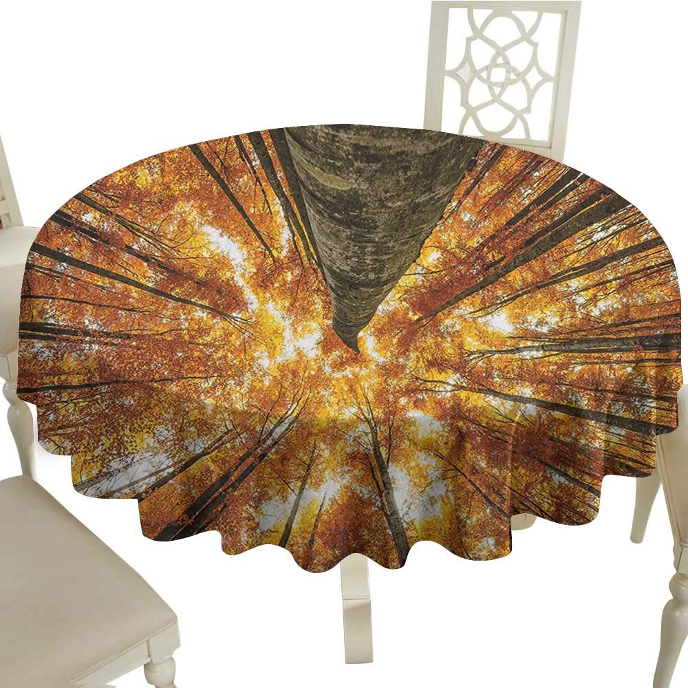 outdoor round tablecloth 36 Inch Forest,Big High Beech Trees Deciduous Shedding Canadian Maples America Inspired Idyllic Orange Brown Great for,holiday & More