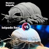 Ver la foto 2