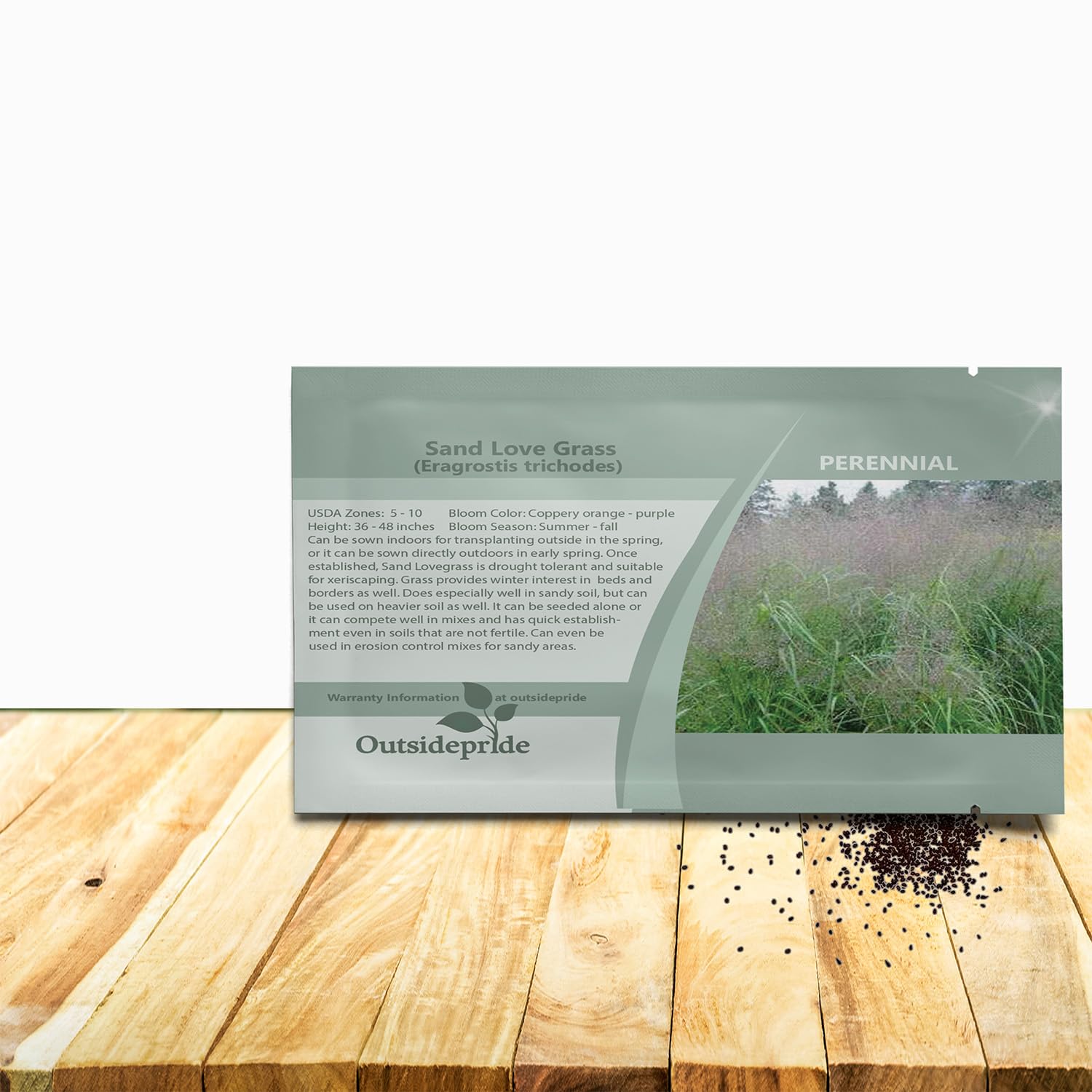 Outsidepride Sand Love Grass Seeds - 5,000 Pcs. Perennial, Easy to Grow, Drought-Tolerant, Tall Ornamental Grass, Thrives in Sandy Soil, Wind &