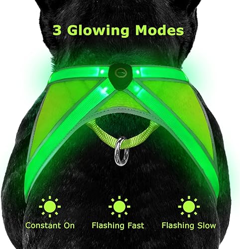 Miniatura 3 de Arnés para perro con luces LED, de alta visibilidad, para seguridad nocturna, recargable por USB, para caminar por la noche, arnés para perros