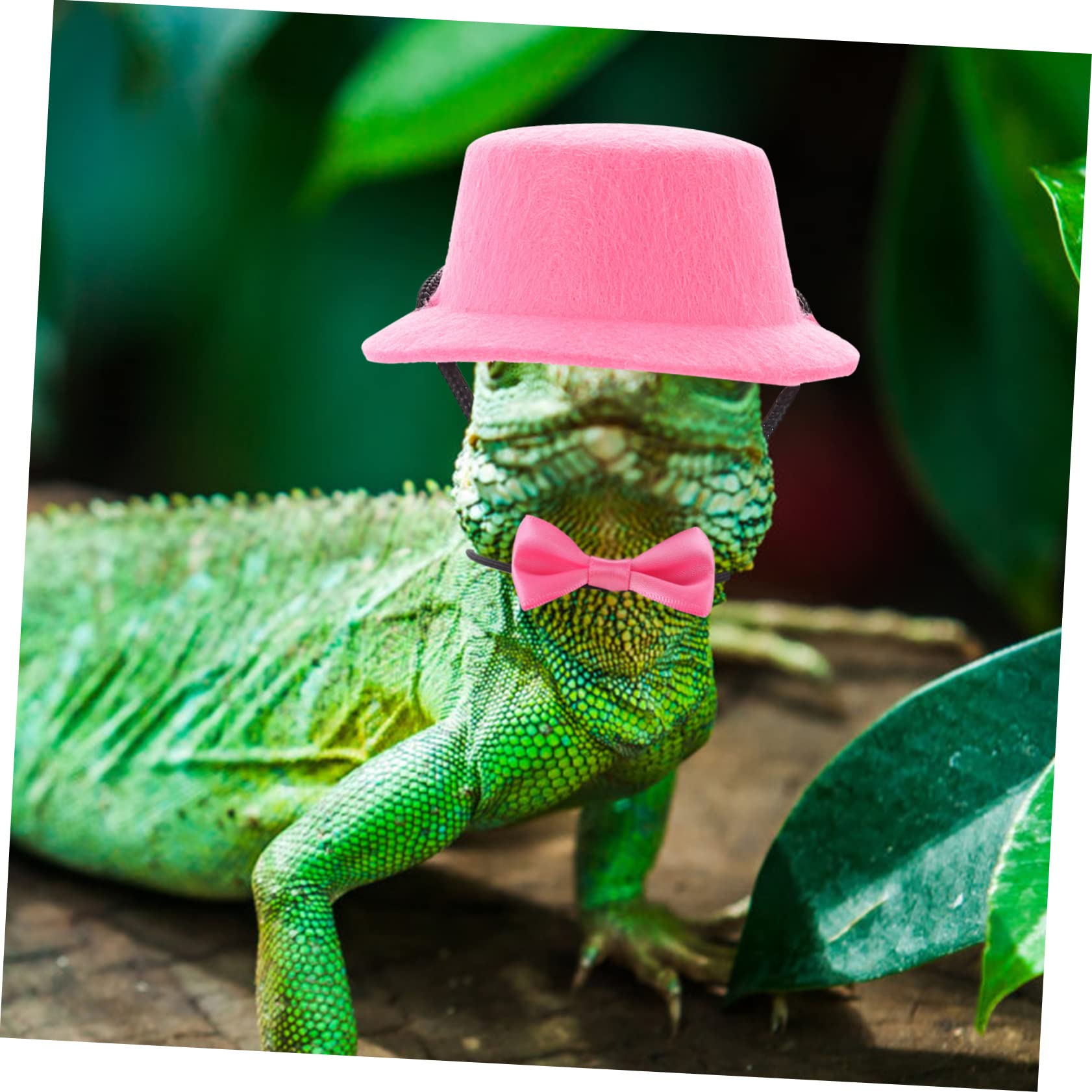 Mipcase 5juegos Correa Ajustable para Reptiles Sombrero y Pajarita Kit De Arnés para Lagartijas para Paseos Al Aire y Decoración Divertida