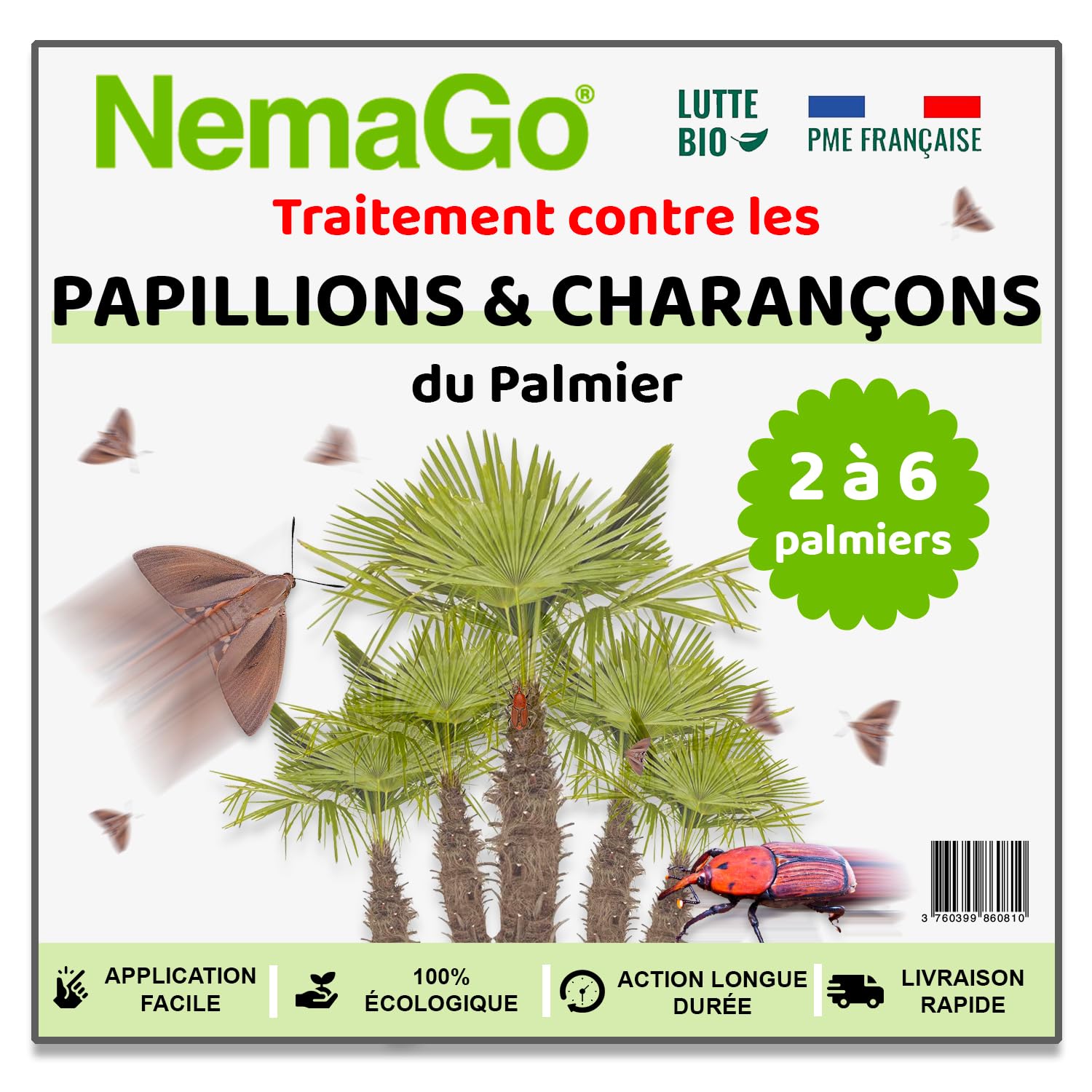 Nématodes Traitement contre le Papillon du Palmier et le Charançon Rouge - Traiter 2 à 6 Palmiers - Lutte biologique - Anti vers et larves