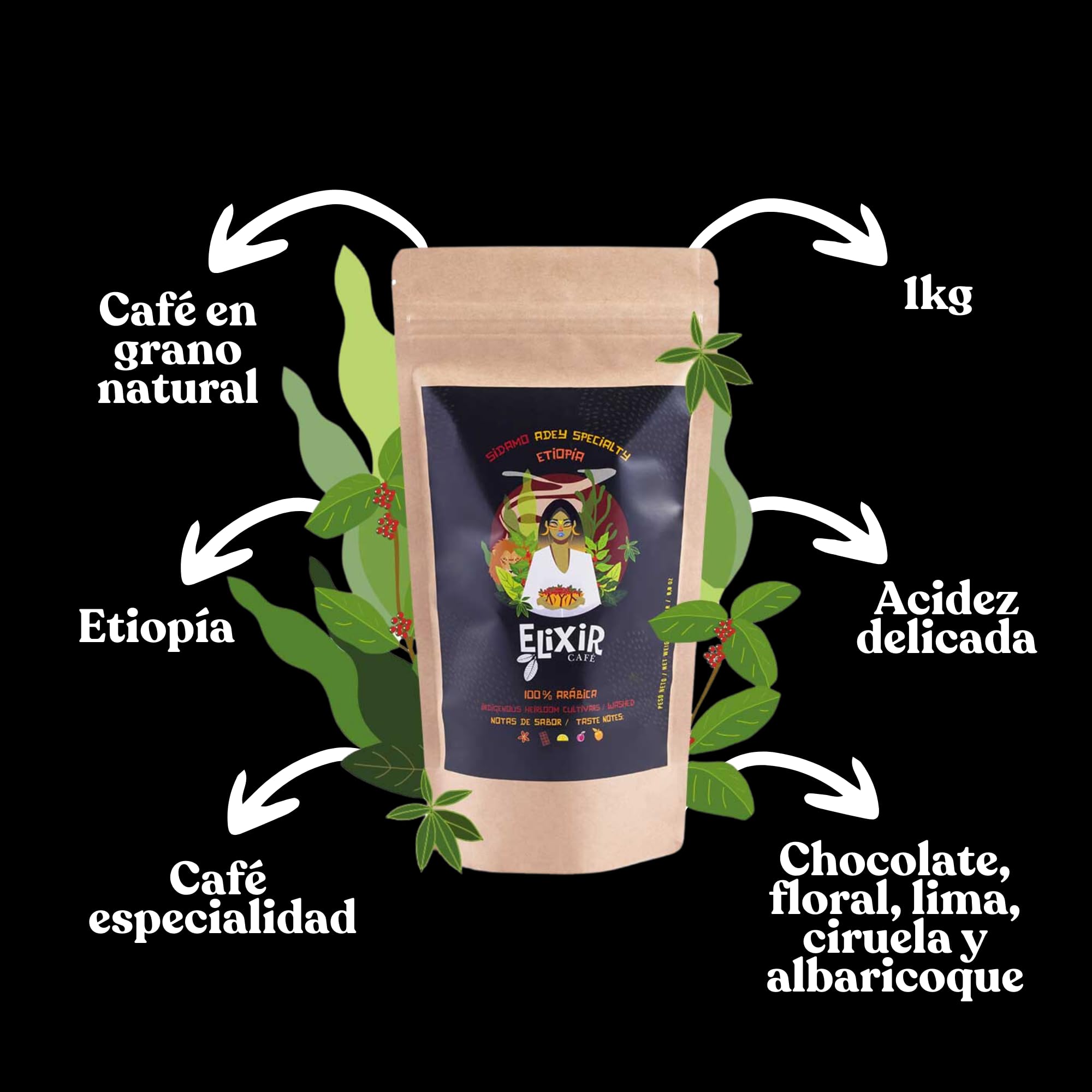 Cafe En Grano Natural 1kg Elixir - Cafe Especialidad Etiopía | Café En Grano 1kg | Café Arabica Etiopía | Intenso 5/5