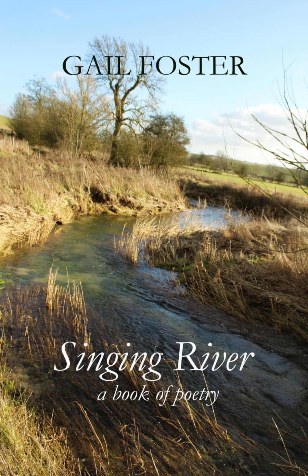 Singing River: a book of poetry