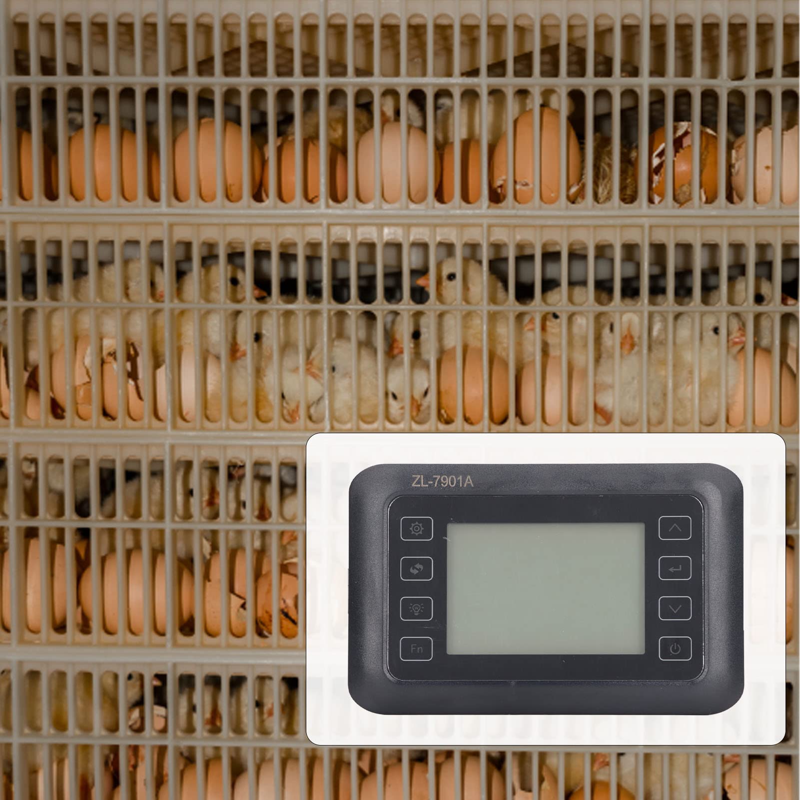 TOPINCN Controlador de Incubadoras, Controlador de Temperatura ABS para Incubadoras (ZL-7901A)