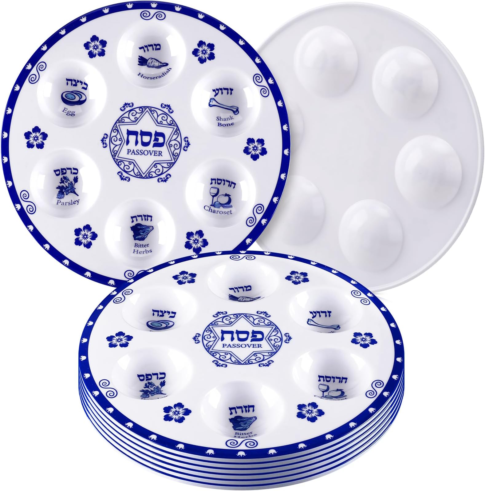 Cazenove Passover Seder Plates (10 Pack) 10" Heavy Duty Quality Plastic Disposable