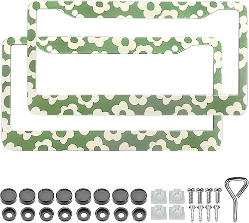 Marco de matrícula de mariposa  Paquete de 2 cubiertas de acero inoxidable con estampado de mariposas azules, accesorios decorativos con tornillos